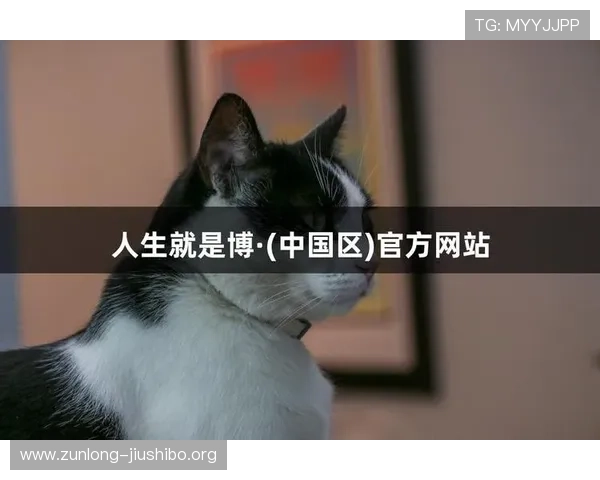 尊龙-人生就是博!深度解析游戏中的人生抉择与命运安排